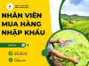 Nhân Viên Mua Hàng Nhập Khẩu