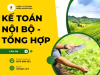 Kế toán nội bộ - tổng hợp