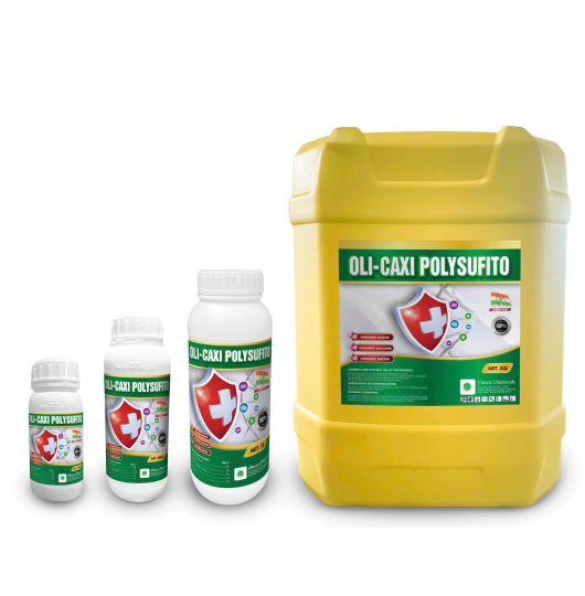 OLI - CAXI POLYSUFITO EG